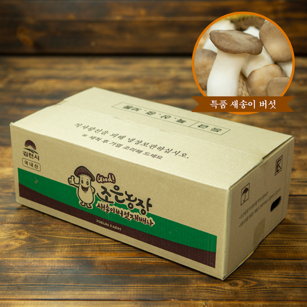 [더기다림] 오늘 수확한 싱싱한 새송이 버섯 6KG(무농약인증)