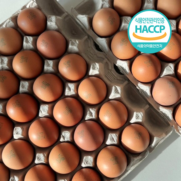 [1+1] [더기다림] 소문난 맛집 구운란 대란 30구 2판(총 60구 HACCP 인증)